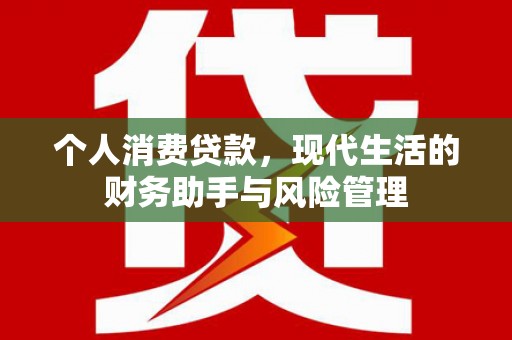 岭东个人消费贷款，现代生活的财务助手与风险管理