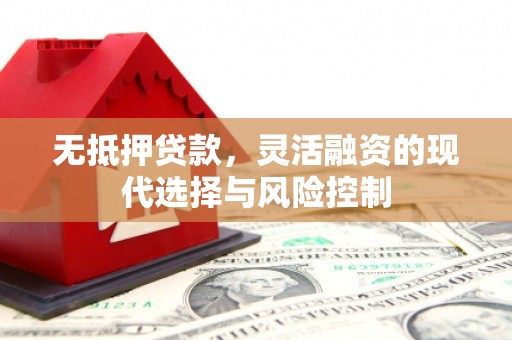 岭东无抵押贷款，灵活融资的现代选择与风险控制