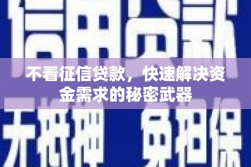 岭东不看征信贷款，快速解决资金需求的秘密武器