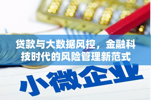岭东贷款与大数据风控，金融科技时代的风险管理新范式