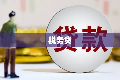 岭东税务贷