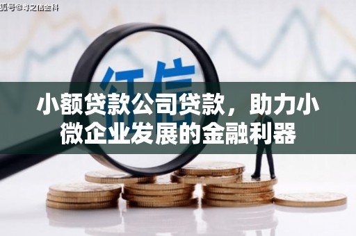 岭东小额贷款公司贷款，助力小微企业发展的金融利器