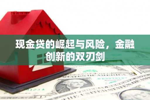 岭东现金贷的崛起与风险，金融创新的双刃剑