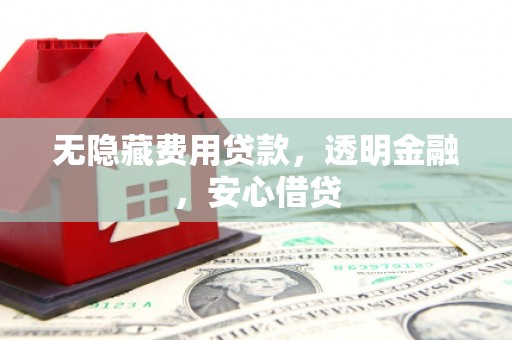 岭东无隐藏费用贷款，透明金融，安心借贷