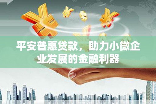 岭东平安普惠贷款，助力小微企业发展的金融利器