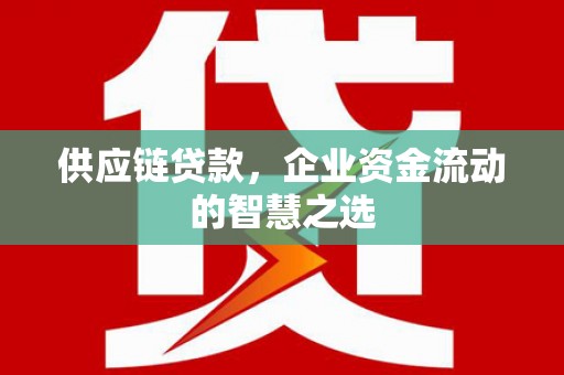 岭东供应链贷款，企业资金流动的智慧之选