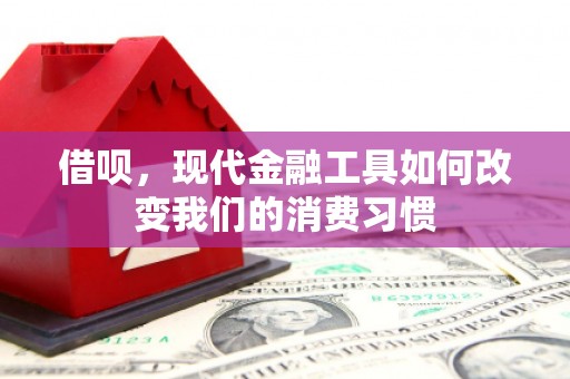 岭东借呗，现代金融工具如何改变我们的消费习惯