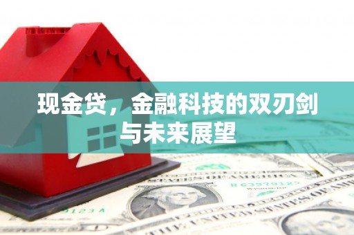 岭东现金贷，金融科技的双刃剑与未来展望
