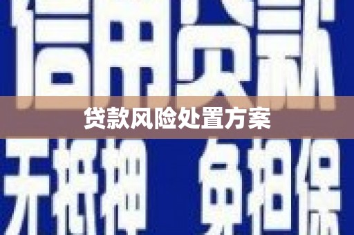 岭东贷款风险处置方案