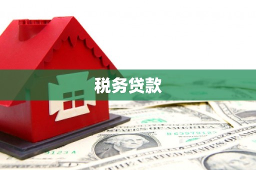 岭东税务贷款