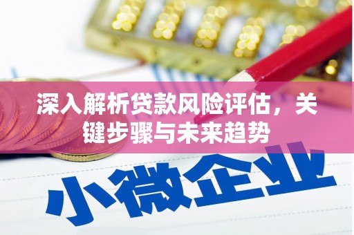岭东深入解析贷款风险评估，关键步骤与未来趋势