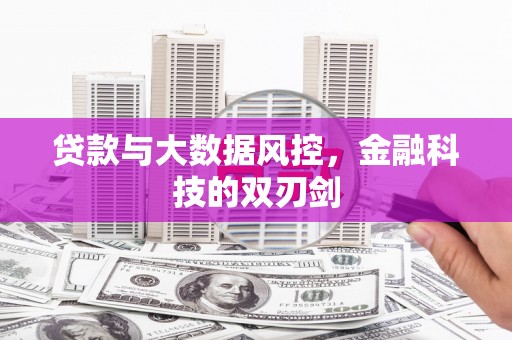 岭东贷款与大数据风控，金融科技的双刃剑