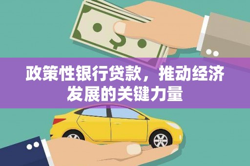 岭东政策性银行贷款，推动经济发展的关键力量