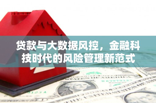 岭东贷款与大数据风控，金融科技时代的风险管理新范式