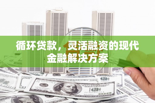 岭东循环贷款，灵活融资的现代金融解决方案