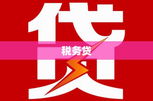 岭东税务贷