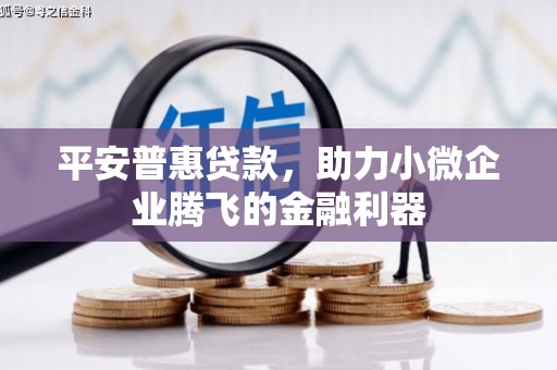 岭东平安普惠贷款，助力小微企业腾飞的金融利器