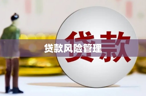 岭东贷款风险管理