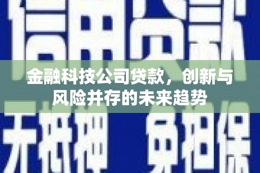 岭东金融科技公司贷款，创新与风险并存的未来趋势