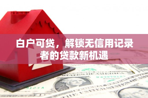 岭东白户可贷，解锁无信用记录者的贷款新机遇