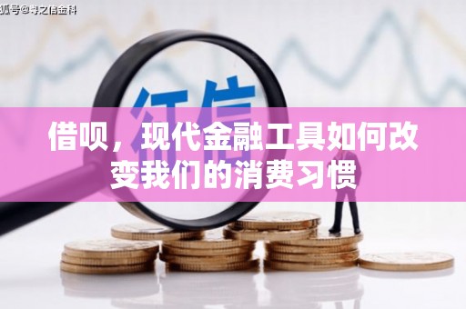 岭东借呗，现代金融工具如何改变我们的消费习惯