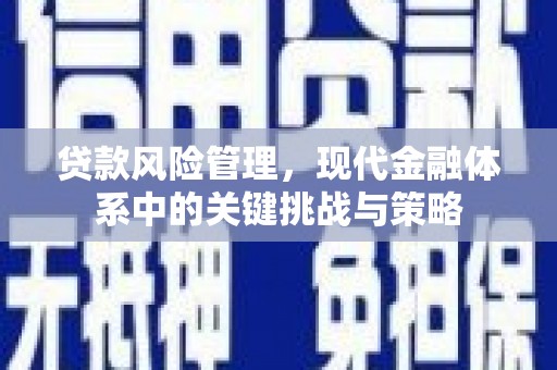 岭东贷款风险管理，现代金融体系中的关键挑战与策略