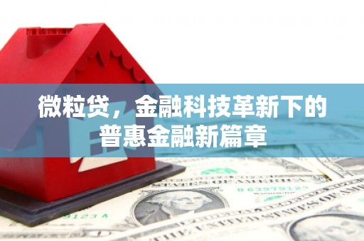 岭东微粒贷，金融科技革新下的普惠金融新篇章