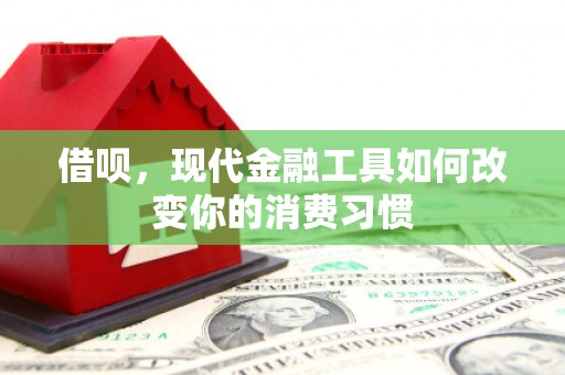 岭东借呗，现代金融工具如何改变你的消费习惯
