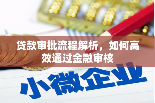 岭东贷款审批流程解析，如何高效通过金融审核