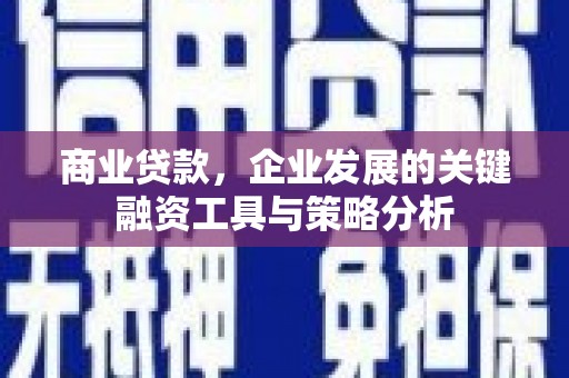 岭东商业贷款，企业发展的关键融资工具与策略分析