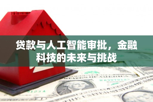 岭东贷款与人工智能审批，金融科技的未来与挑战
