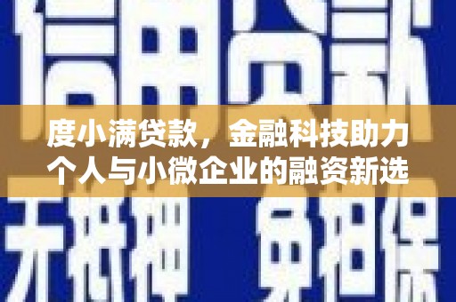 岭东度小满贷款，金融科技助力个人与小微企业的融资新选择