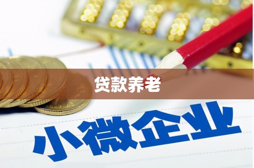 岭东贷款养老