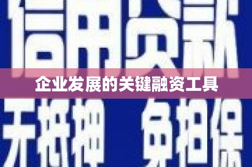 岭东企业发展的关键融资工具