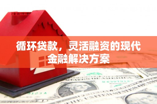 岭东循环贷款，灵活融资的现代金融解决方案