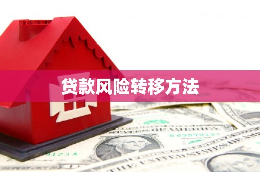 岭东贷款风险转移方法