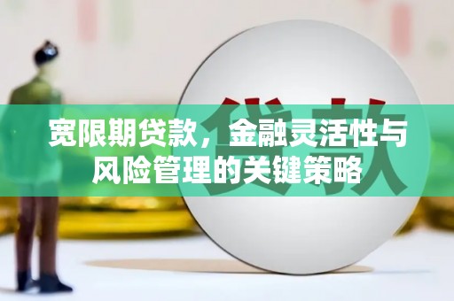 岭东宽限期贷款，金融灵活性与风险管理的关键策略