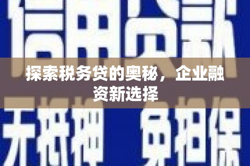 岭东探索税务贷的奥秘，企业融资新选择