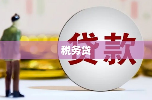 岭东税务贷