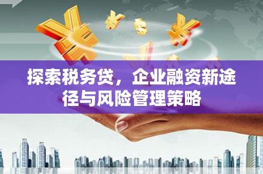 岭东探索税务贷，企业融资新途径与风险管理策略