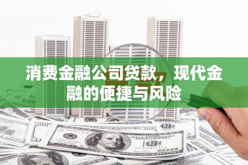 岭东消费金融公司贷款，现代金融的便捷与风险