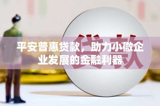 岭东平安普惠贷款，助力小微企业发展的金融利器