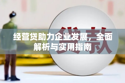 岭东经营贷助力企业发展，全面解析与实用指南