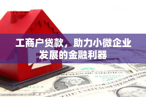 岭东工商户贷款，助力小微企业发展的金融利器