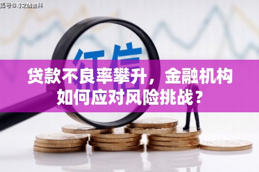 岭东贷款不良率攀升，金融机构如何应对风险挑战？