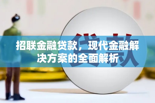 岭东招联金融贷款，现代金融解决方案的全面解析