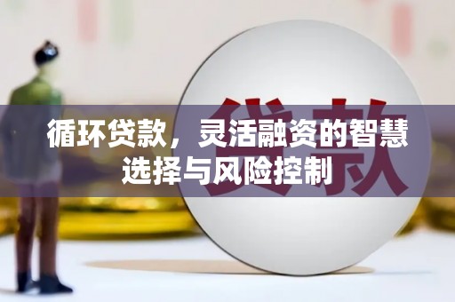 岭东循环贷款，灵活融资的智慧选择与风险控制