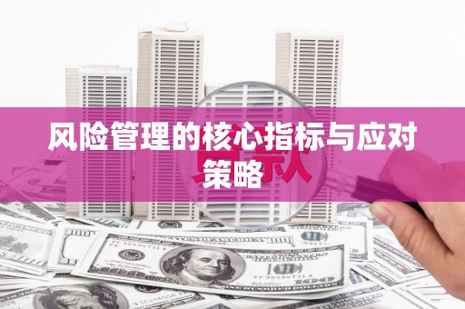 岭东风险管理的核心指标与应对策略