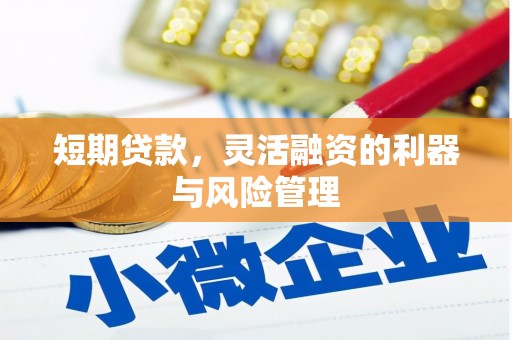 岭东短期贷款，灵活融资的利器与风险管理
