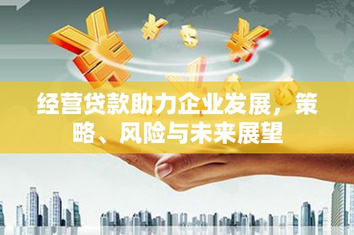 岭东经营贷款助力企业发展，策略、风险与未来展望